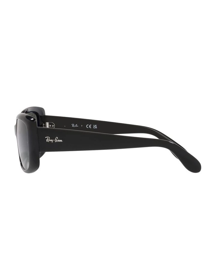 0RB4389 Sunglasses In Black