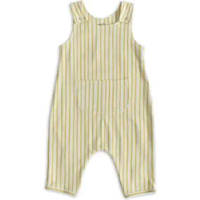 Pehr Stripes Away Organic Cotton Overall Romper, Marigold