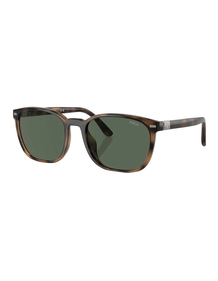 PH4208U Sunglasses in Tortoise