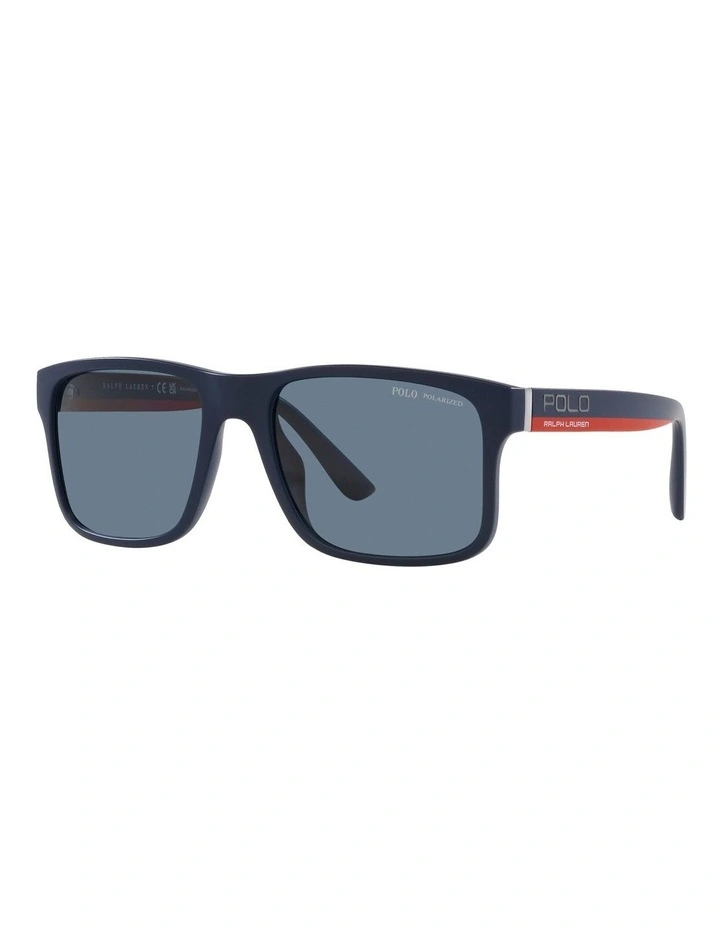 Polarised Sunglasses PH4195U in Blue