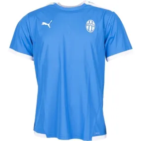 Puma TEAM LIGA JERSEY